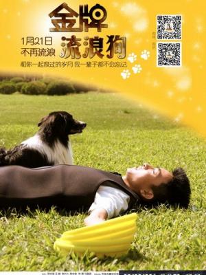 韩剧《练习生倒计时》剧照